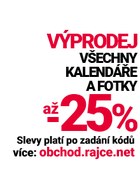 Lednový výprodej