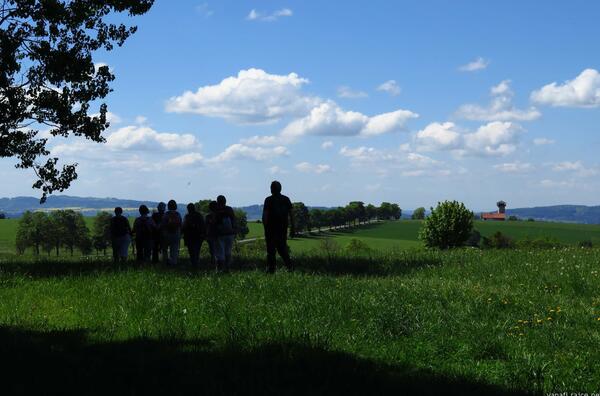 rozhledna U Borovice