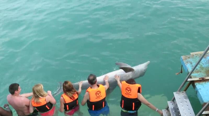 Kuba-katamarán-delfíni 1.2.2020
