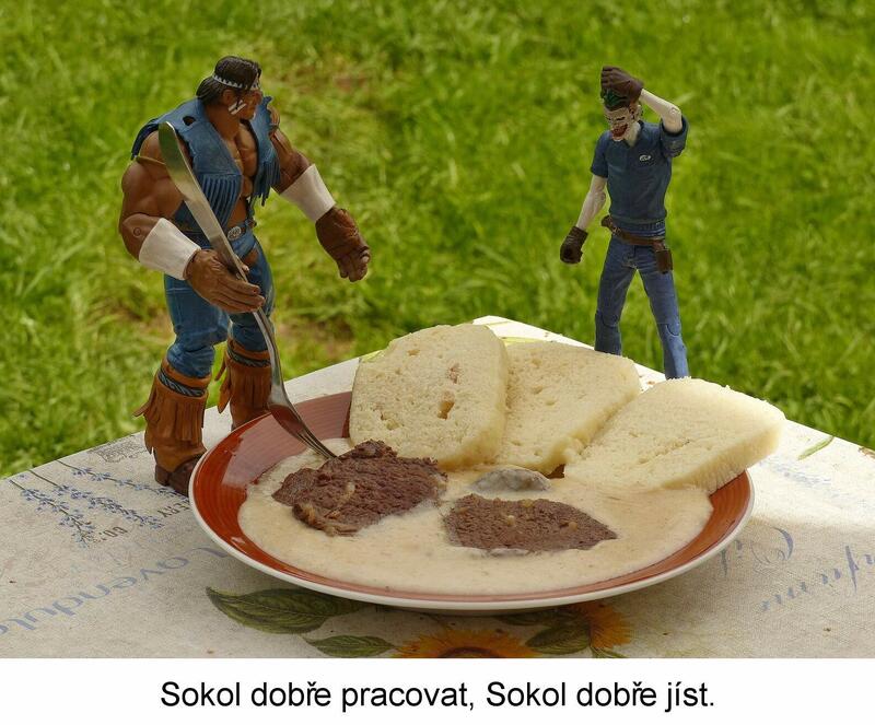 Obrázek