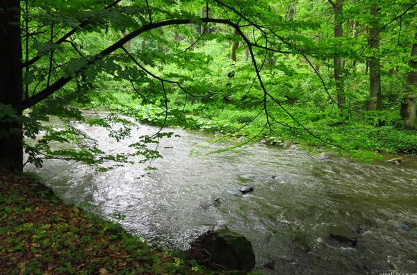 dnes jdeme proti proudu Doubravy