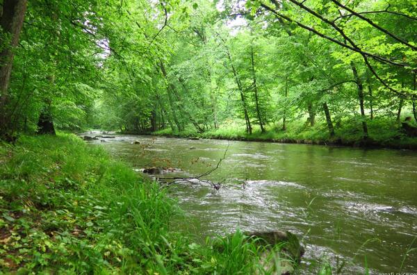 skoro jako podél naší Jizery