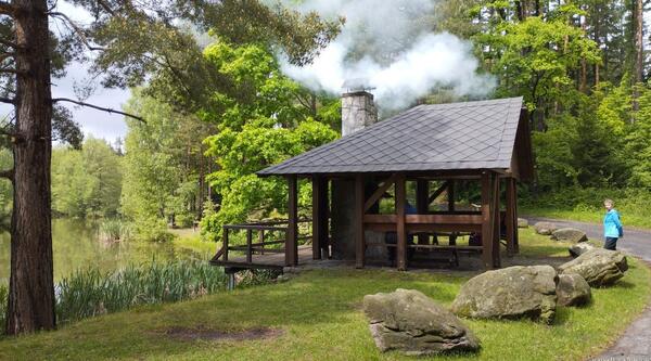 dříví je mokré a vydáváme kouřové signály