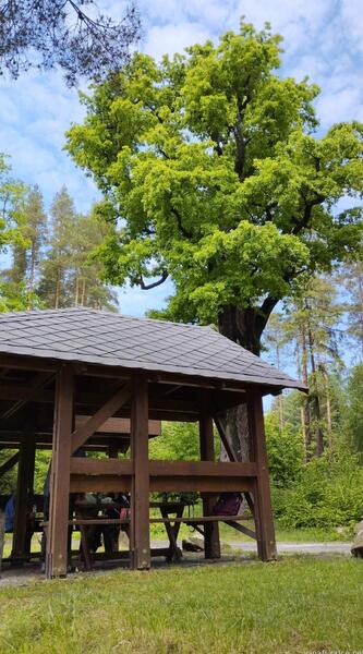 přístřešek se oficiálně jmenuje Plavný potok, ne U dubu, jak jsem si myslela