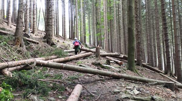 Turistická cesta-necesta