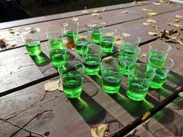 Příchovický vítr