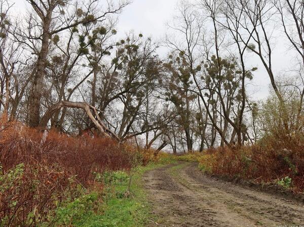 jmelí kam se podíváš