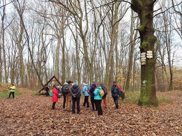 po žluté pokračujeme k pěchotním srubům