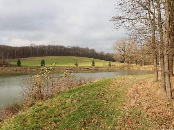 pěšina vede kolem mnoha bezejmenných rybníčků